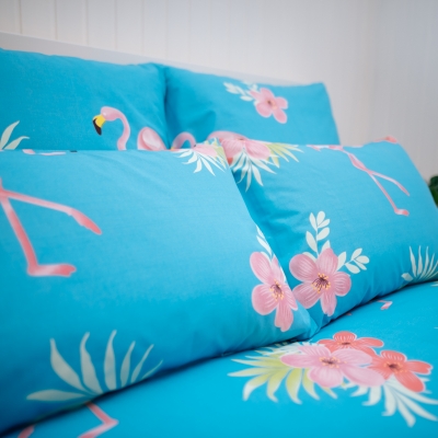 14402_flamingo_sinisel_padi.jpg